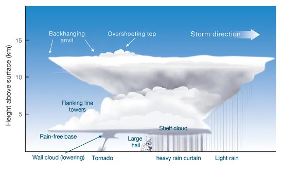 Diagram showing the key features of a thunderstorm cloud that rises about 12 m above the ground. The top of the cloud is in a v-shape and features a back-hanging anvil and overshooting top. Below the anvil, flanking line towers rise above a shelf cloud, which produces rain and hail. Light rain falls from the forward part of the anvil. Behind this, a wall cloud produces a tornado, while the back of the storm has a rain-free base.