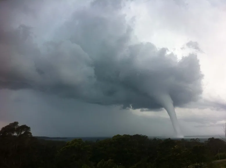 Beyond trees in the foreground, a waterspout rises from a bay to a thunderous sky.