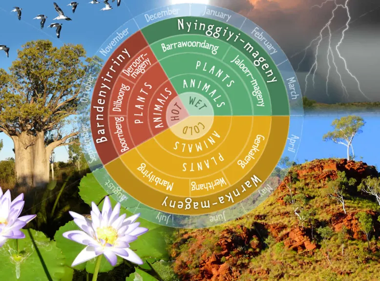 Colourful wheel and nature photos showing the traditional seasons and associated flora and fauna of the Miriwoong seasonal calendar.