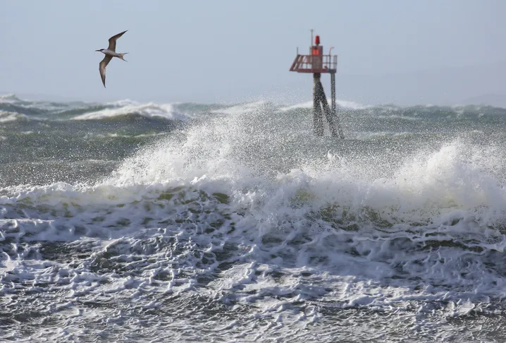 Photo of a very rough and windy sea at the mouth of the Mersey River in Tasmania. Wind blows spray into the air and whips up waves. There is a seagull flying on the left and a pylon on the right.