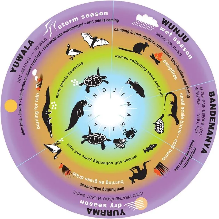 Diagram of Wunambal Gaambera seasonal calendar. It's a purple-rimmed circle with 3 concentric circles inside. Each layer describes the 4 seasons and has illustrations of weather features and the various animals relating to different seasons.