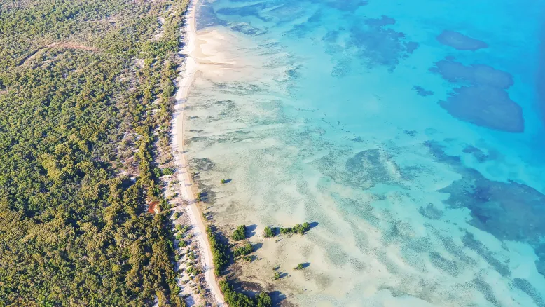 Aerial shot of a beach track separating green shrubby land on the left and beach with shallow turquoise water on the right.