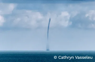 Dark blue waterspout rising from a calm ocean. The waterspout connects to white clouds high in the sky.