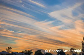 Streaky orange and white clouds across a blue sky. Low on the horizon, there are dark outlines of trees and suburban homes.
