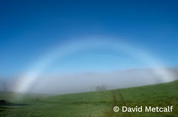Fogbow, which is a rainbow in fog. It is mostly white, with subtle changes in colour like a rainbow. The full arc contrasts against a deep blue sky. Below the fogbow is the green field of a farm in Tuena, New South Wales.