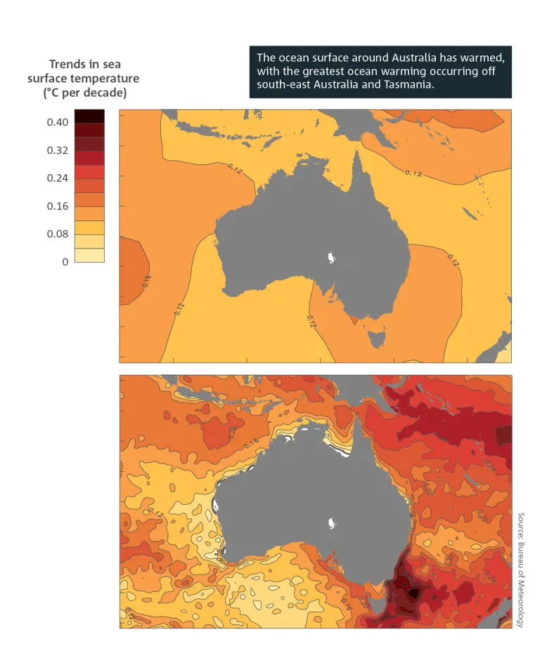 Two heat maps of Australia showing that the sea surface temperature around Australia has warmed between 1950 and 2023, with more rapid warming occurring in oceans to the south-east. Breakout text reads: The ocean surface around Australia has warmed, with the greatest ocean warming occurring off south-east Australia and Tasmania. Source: Bureau of Meteorology.
