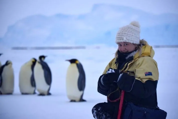 Bureau technical officer sits in front of a group of emperor penguins, with a large ice shelf rising upwards in the background.