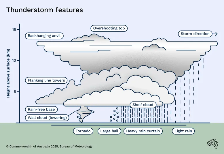 Graphic showing the key features of a thunderstorm cloud that rises about 12 m above the ground. The cloud has a v-shape with a flat top. It features a back-hanging anvil and overshooting top. Below the anvil, flanking-line towers rise above a shelf cloud, which produces rain and hail. Light rain falls from the forward part of the anvil. Behind this, a wall cloud produces a tornado, while the back of the storm has a rain-free base.