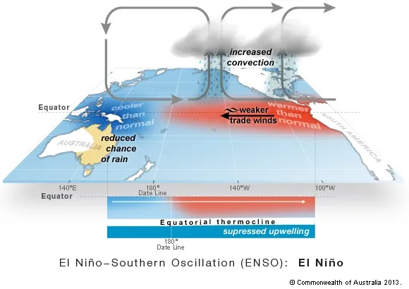 Map with Australia at bottom left. Arrow indicates westerly direction of weaker trade winds, drawing warmer than normal water from the east near South America, but this doesn't manage to warm waters in the Pacific near the equator. Grey arrows show increased convection over the waters near South America but little over the equatorial Pacific. Beneath the map, a diagram shows how suppressed upwelling means cooler waters near northern Australia.