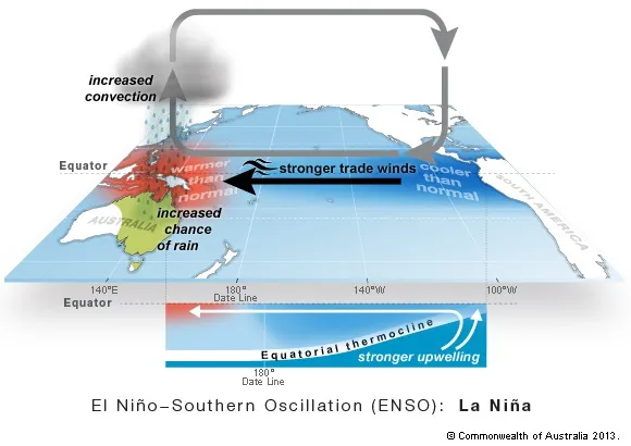 Map with Australia at bottom left. Arrow indicates westerly direction of trade winds, drawing cooler than normal water from the east near South America to the warmer than normal waters in the Pacific near the equator. A grey arrow shows how the winds circulate through the atmosphere, causing increased convection before flowing back to cooler regions. Eastern Australia is green, indicating increased chance of rain. Beneath the map, a diagram shows how stronger upwelling directs cooler waters to warmer areas.