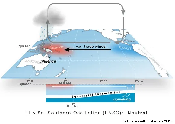 Map with Australia at bottom left. Arrow indicates westerly direction of trade winds, drawing cool water from the east near South America to the warm waters in the Pacific near the equator. A grey arrow shows how the winds circulate through the atmosphere, causing precipitation before flowing back to cooler regions. Beneath the map, a diagram shows how upwelling directs cooler waters to warmer areas.