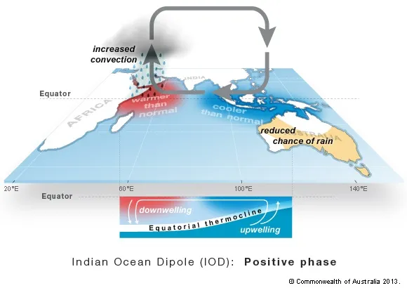 Map showing Indian Ocean Dipole in positive phase. Australia is at bottom right. Arrows indicate air circulation from east to west, with cooler than normal waters to Australia's north west and warmer than normal waters near north eastern Africa. Beneath the map, a graphic shows upwelling in the eastern equatorial thermocline and downwelling in the west.