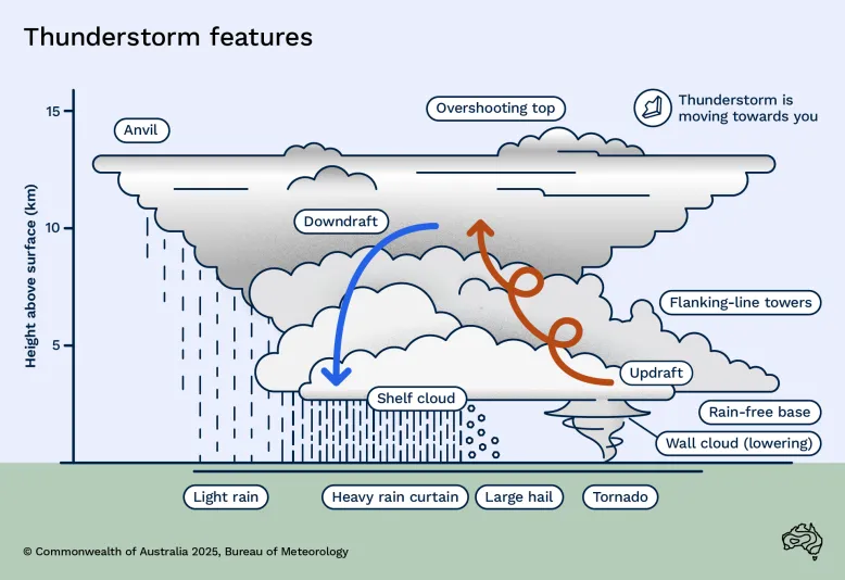 Graphic showing the key features of a thunderstorm cloud moving toward you. The cloud rises about 12 m above the ground. The cloud has a v-shape with a flat top. It features an anvil and overshooting top. Below the anvil, flanking-line towers rise above a shelf cloud, which produces rain and hail. Light rain falls from the forward part of the anvil. Below, a wall cloud produces a tornado, while the back of the storm has a rain-free base. The thunderstorm also features a spiralling updraft and downdraft.